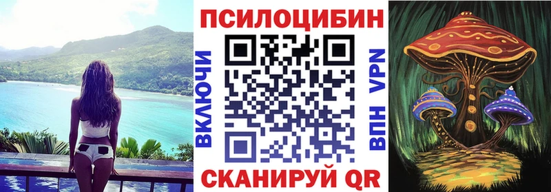 дарнет шоп  Нерюнгри  Галлюциногенные грибы прущие грибы 